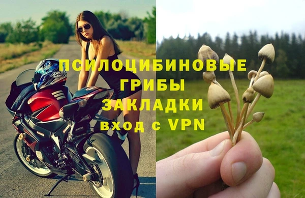 таблы Рославль