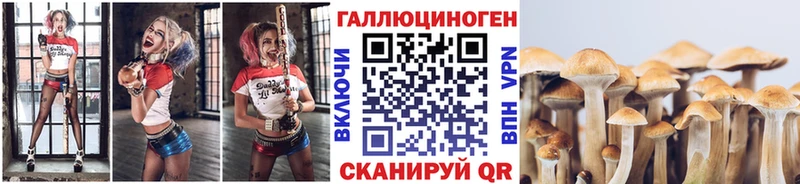 Псилоцибиновые грибы Magic Shrooms  ссылка на мегу маркетплейс  Кяхта 